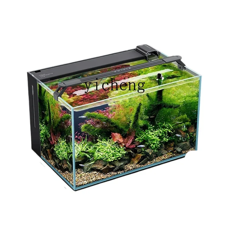 ZC 2-го поколения задний фильт – обзор и цена Aquarium Fish Glass
