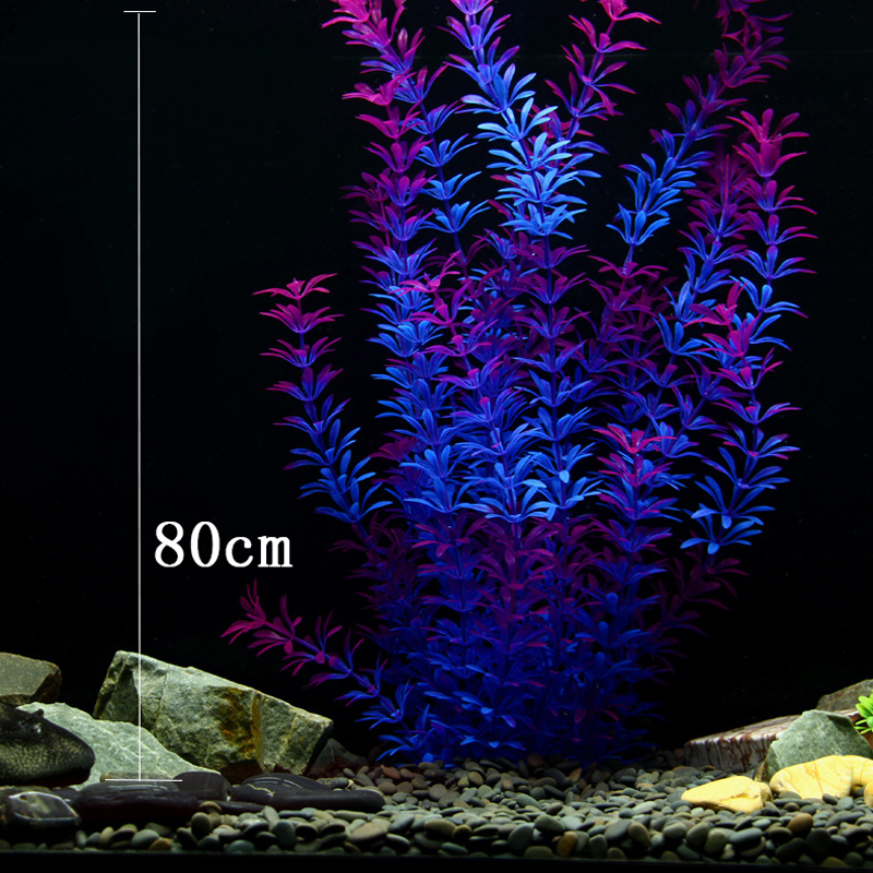 100 см Тропические растения, б – обзор и цена Aquarium Fish House