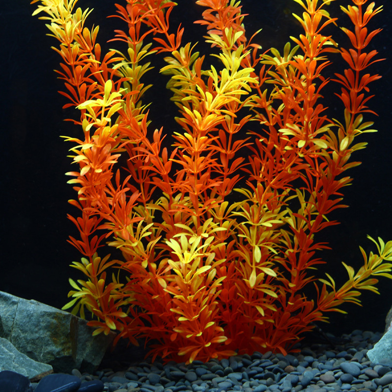100 см Тропические растения, б – обзор и цена Aquarium Fish House
