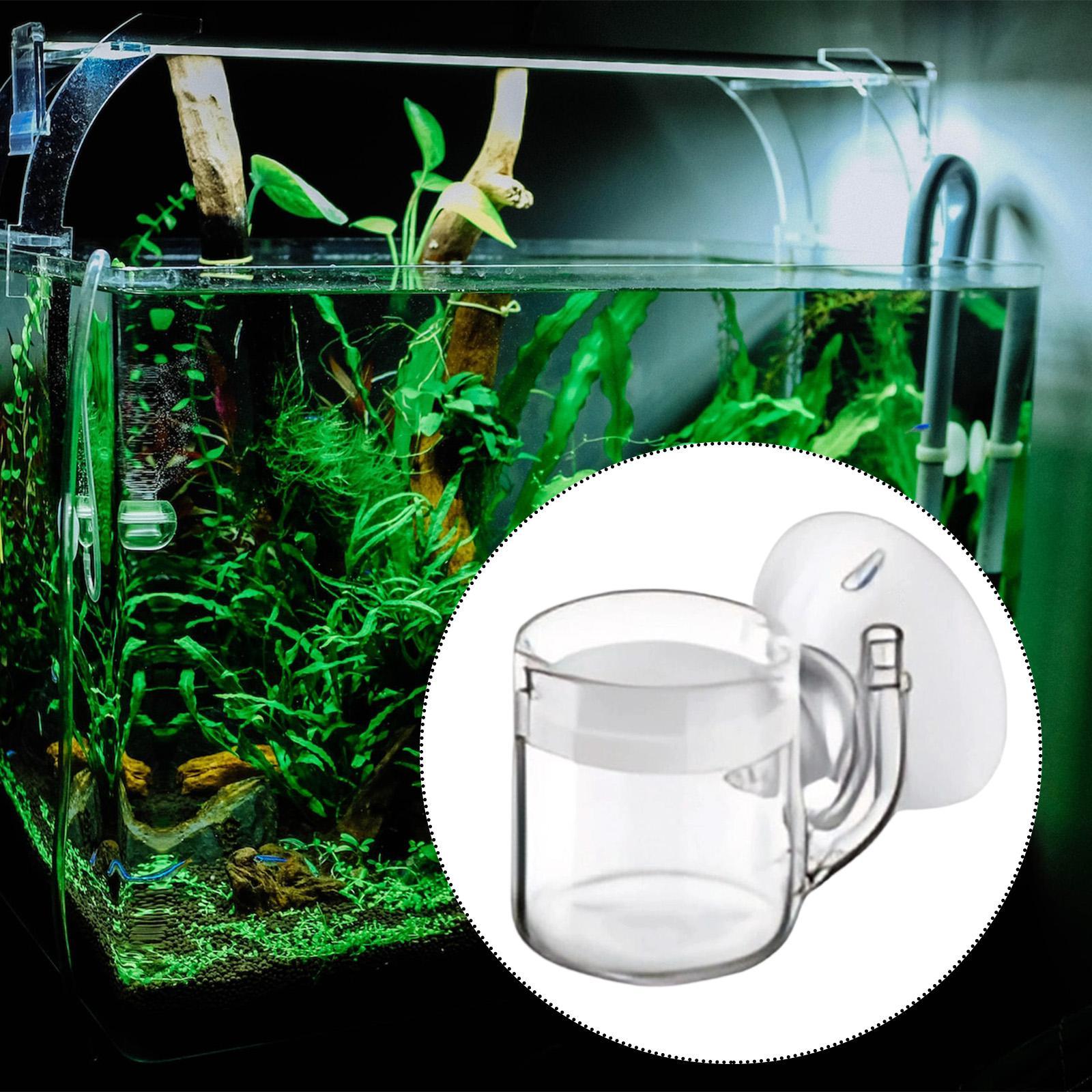 Диффузор CO2 с плоским дном, б – обзор и цена Co2 Diffuser Planted