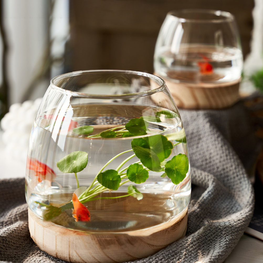 1 комплект: прозрачный стеклян – обзор и цена Aquarium Fish Glass