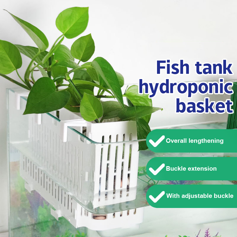 【F】Подвесная корзина для аквар – обзор и цена Aquarium Fish Quarantine