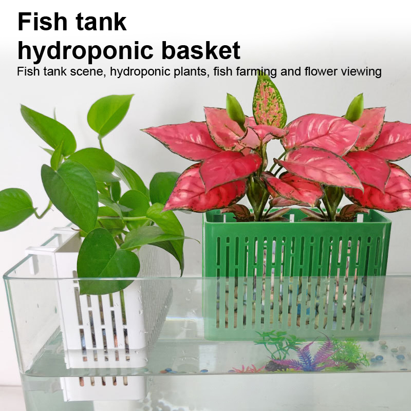 【F】Подвесная корзина для аквар – обзор и цена Aquarium Fish Quarantine